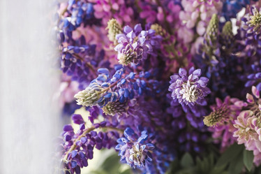 Similar image 21854310