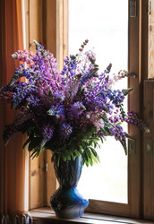 Similar image 21854316