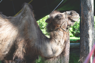 Similar image 21856600