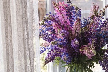 Similar image 21854899