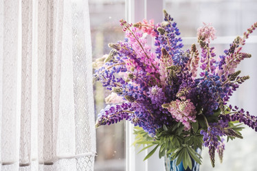 Similar image 21854903