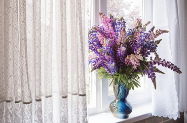 Similar image 21854905