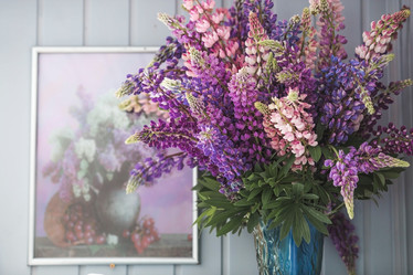 Similar image 21854909