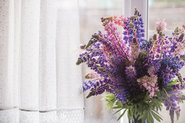 Similar image 21854911