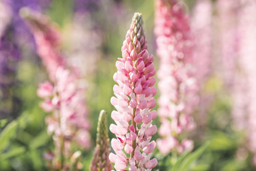 Similar image 21854923