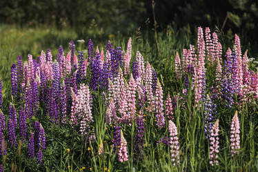 Similar image 21854925