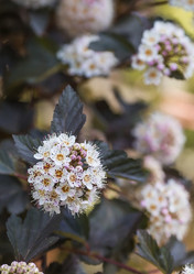 Similar image 21854926