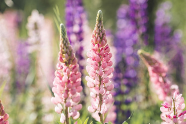 Similar image 21854927