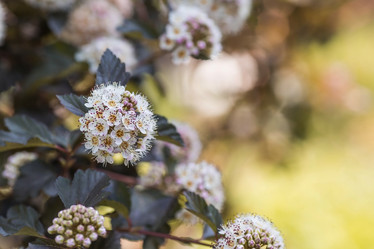 Similar image 21854928