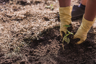 Similar image 21854929