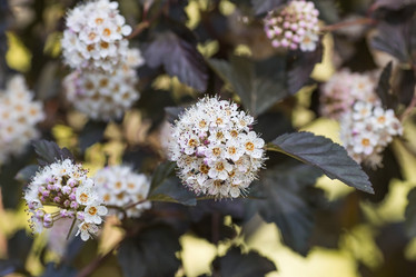 Similar image 21854930