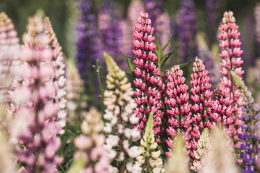 Similar image 21854931