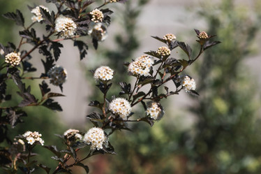 Similar image 21854932