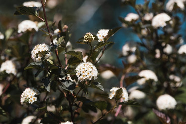 Similar image 21854933