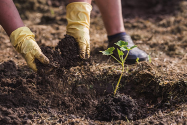 Similar image 21854937