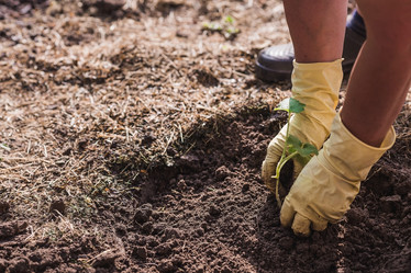 Similar image 21854939