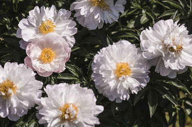 Similar image 21854940