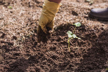 Similar image 21854941