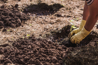 Similar image 21854944