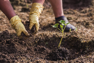 Similar image 21855454