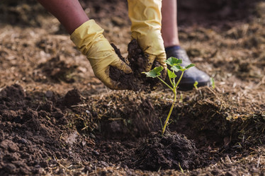 Similar image 21854947