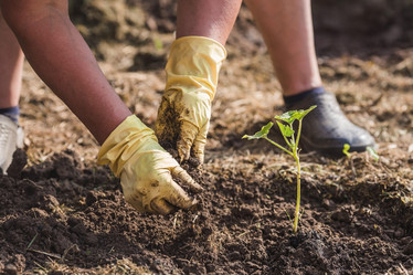 Similar image 21854953