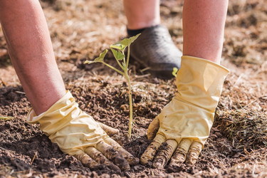 Similar image 21854955