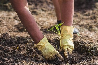 Similar image 21854959