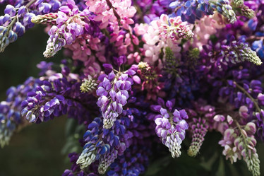 Similar image 21854960