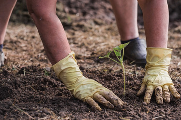 Similar image 21854961