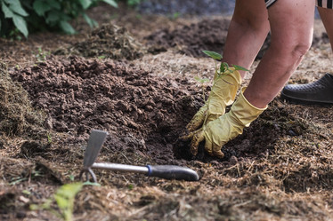 Similar image 21854963