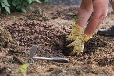 Similar image 21854964