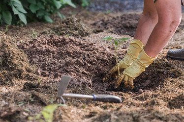 Similar image 21854965