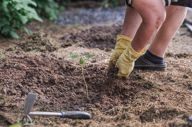 Similar image 21854966