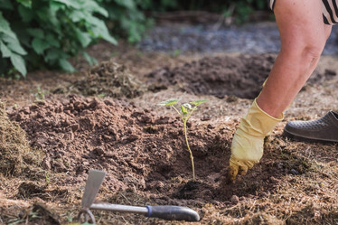 Similar image 21854967