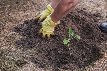 Similar image 21854969