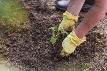 Similar image 21854972