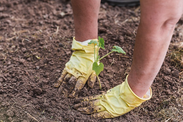 Similar image 21854974