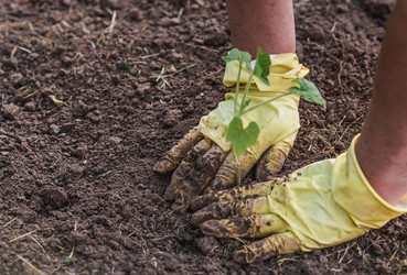 Similar image 21854975