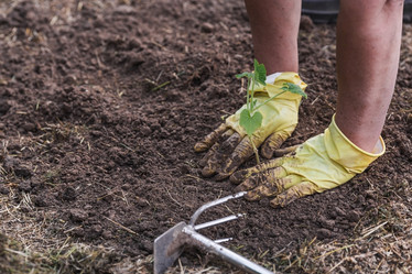 Similar image 21854976