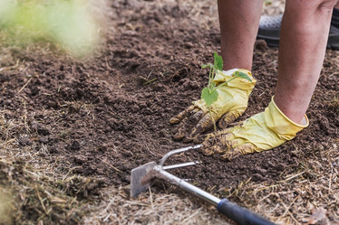 Similar image 21854977