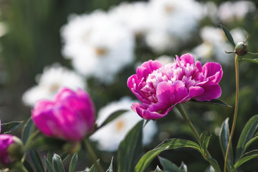 Similar image 21854979