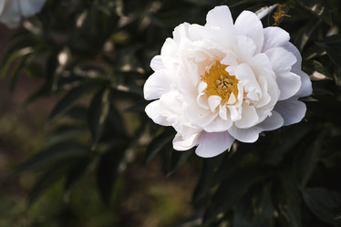 Similar image 21854983