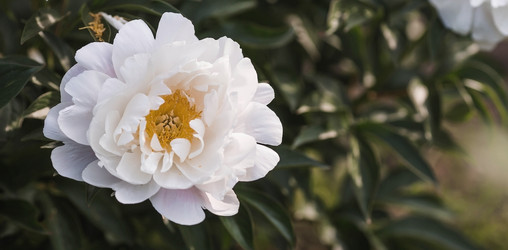 Similar image 21854984