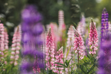 Similar image 21854987