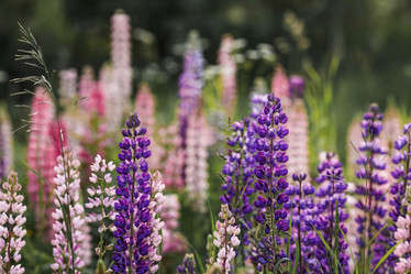 Similar image 21854988