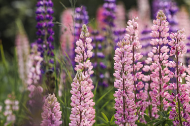 Similar image 21854990