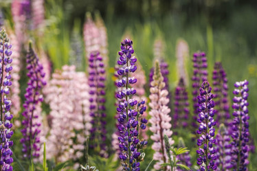 Similar image 21854991