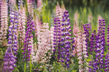 Similar image 21854994