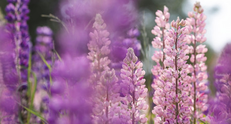 Similar image 21855456